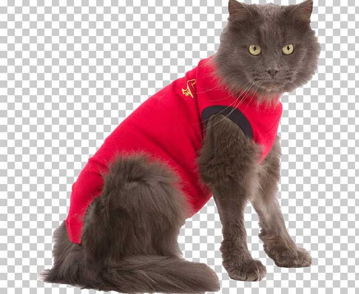 Cat Dog Kitten T-shirt Pet PNG, Clipart, Animals, Black Cat, Canine Reproduction, Cap, Carnivoran Free PNG Download