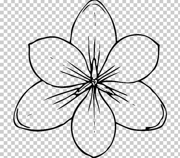 Nature Drawing And Design; Crocus PNG, Clipart, Artwork, Black And White, Circle, Cut, Drawing Free PNG Download
