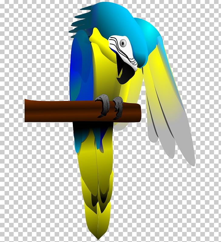 Parrot Bird Blue-and-yellow Macaw PNG, Clipart, Animal, Animals, Beak, Bird, Blueandyellow Macaw Free PNG Download