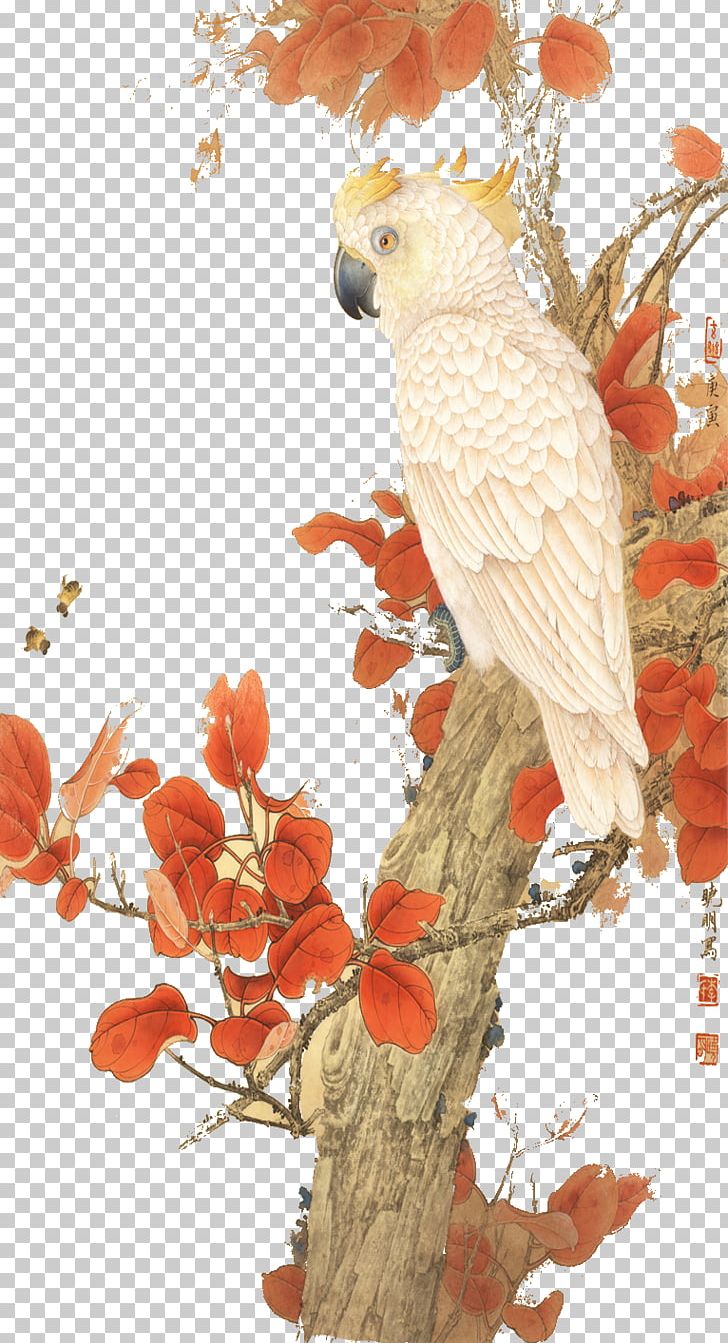 Parrot Illustration PNG, Clipart, Animals, Art, Beak, Bird, Bird Of Prey Free PNG Download