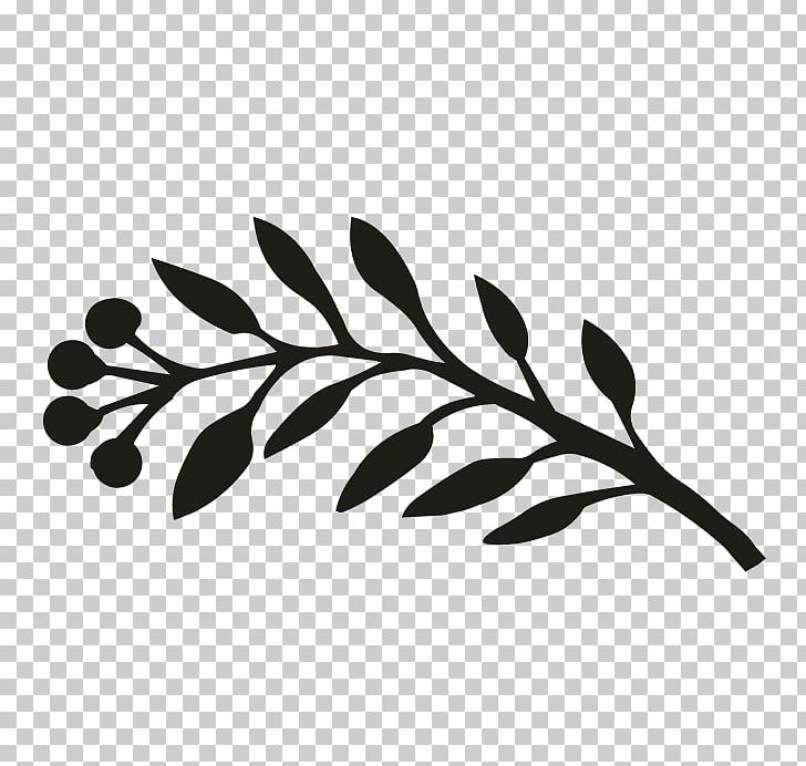 Monochrome Photography Black And White Twig Leaf PNG, Clipart, Black, Black And White, Border, Branch, Leaf Free PNG Download