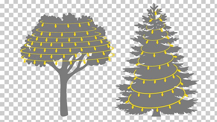 Pine Tree Evergreen Fir Conifers PNG, Clipart, Branch, Bright Christmas Lights, Christmas Decoration, Christmas Ornament, Christmas Tree Free PNG Download