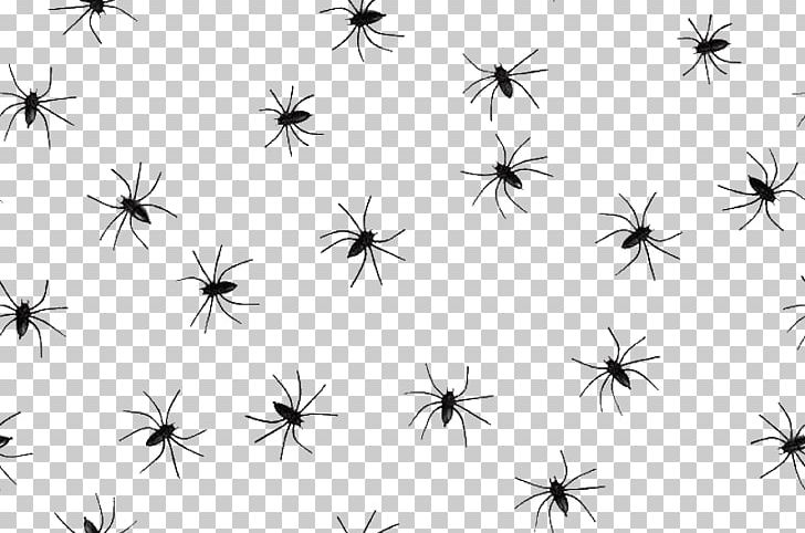 Spider Psychology Arachnophobia Hypnosis Psychotherapist PNG, Clipart, Arthropod, Black And White, Branch, Computer Wallpaper, Desensitization Free PNG Download