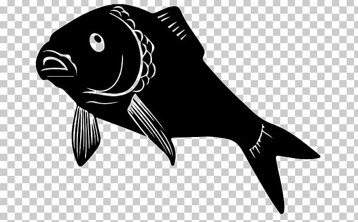 Common Carp Carp Fishing PNG, Clipart, Beak, Black, Black And White, Boilie, Carp Free PNG Download