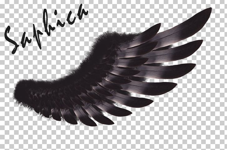 Feather Brush CorelDRAW PNG, Clipart, 2017, Black And White, Brush, Corel, Coreldraw Free PNG Download