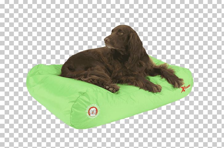Boykin Spaniel Dog Breed Flat-Coated Retriever Puppy PNG, Clipart, Accessoires Dog, Animals, Apple, Bed, Boykin Spaniel Free PNG Download