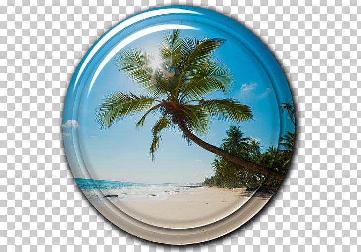 Hanoi Travel Phu Quoc Ho Chi Minh City Tourism PNG, Clipart, Accommodation, Adore, App, Arecales, Beach Free PNG Download