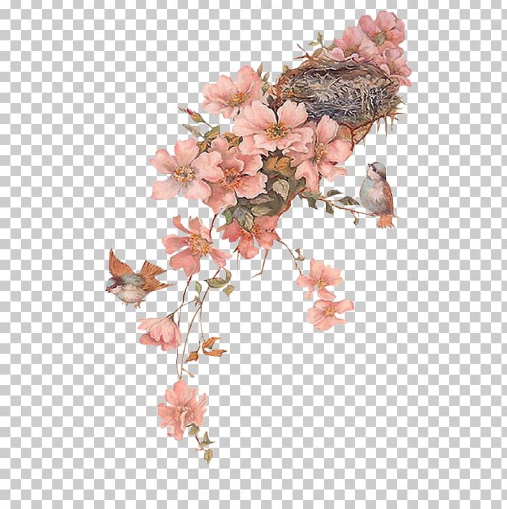Drawing PNG, Clipart, Art, Bird, Birds, Blossom, Branch Free PNG Download