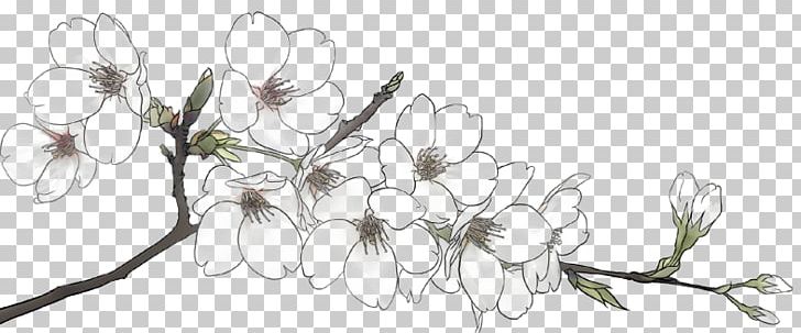 Flower Line PNG, Clipart, Artwork, Black And White, Blossom, Branch, Chart Free PNG Download