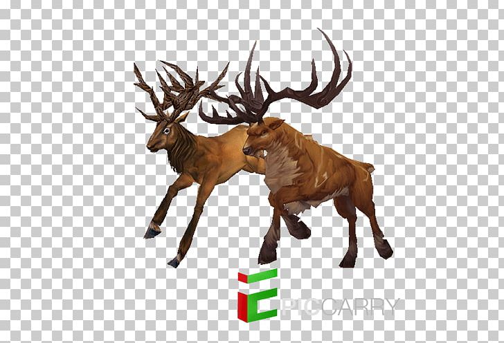 Reindeer Warlords Of Draenor Red Deer Elk PNG, Clipart, Animal, Antler, Cartoon, Classification, Deer Free PNG Download