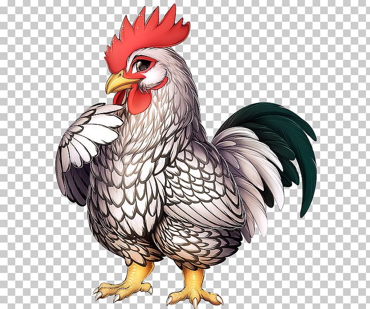 Sussex Chicken Rhode Island Red Wyandotte Chicken Polish Chicken Silkie PNG, Clipart, Animal, Animals, Beak, Bird, Chicken Free PNG Download