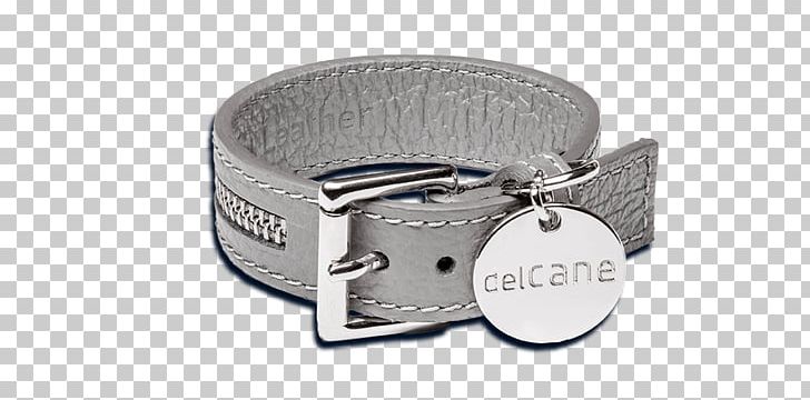 Belt Buckles Strap Product Design PNG, Clipart, Belt, Belt Buckle, Belt Buckles, Buckle, Strap Free PNG Download