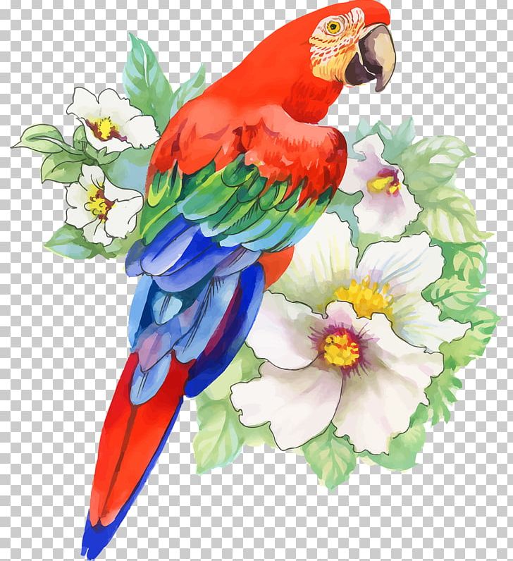 Bird Parrot Drawing Watercolor Painting PNG, Clipart, Animals, Art, Beak, Bird, Common Pet Parakeet Free PNG Download