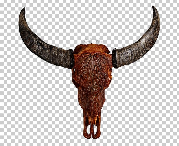 Cattle Horn Animal Skulls Bison PNG, Clipart, Animal, Animal Skulls, Bison, Buffalo, Bull Free PNG Download