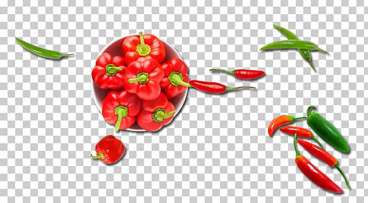 Chili Pepper Bell Pepper Cherry Tomato Vegetable Peperoncino PNG, Clipart, Bell Peppers And Chili Peppers, Capsicum, Capsicum Annuum, Chili, Eggplant Free PNG Download