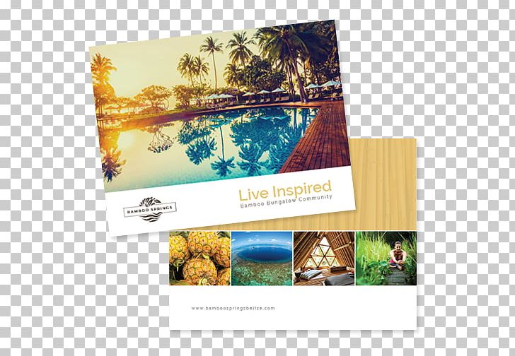 Photographic Paper Advertising Photography Brand PNG, Clipart, Advertising, Beautiful Real Estate, Brand, Paper, Photographic Paper Free PNG Download