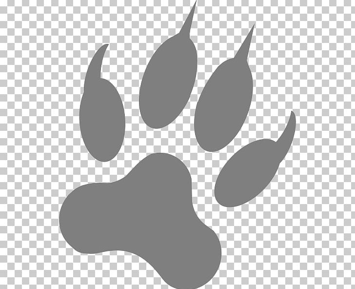 Dog Paw Footprint Claw PNG, Clipart, Animal Track, Black, Black And White, Black Wolf, Claw Free PNG Download