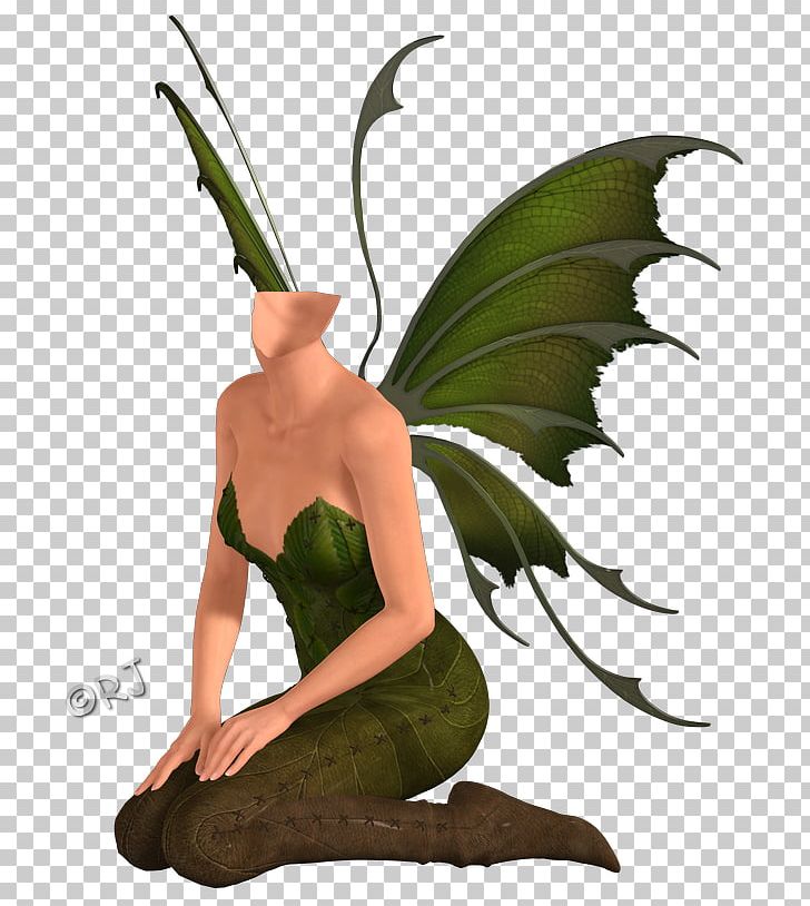 Photography Green Fairy PNG, Clipart, Digital Data, Digital Illustration, Digital Image, Fairy, Fantasy Free PNG Download