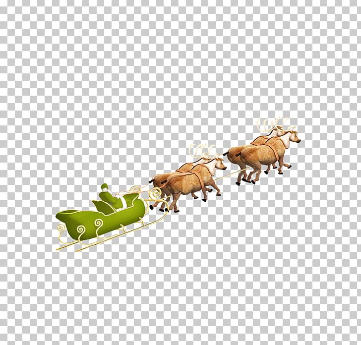 Santa Claus's Reindeer Santa Claus's Reindeer Christmas Photography PNG, Clipart, 300dpi, Animal Figure, Christmas, Christmas Border, Christmas Decoration Free PNG Download