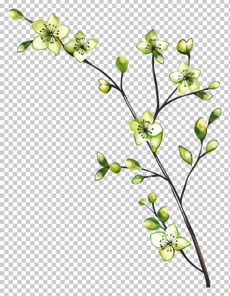 Green Flower - Abstract Green Floral Branch Illustration PNG