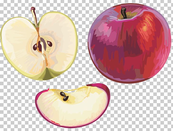 Apple Fruit PhotoScape PNG, Clipart, Amorodo, Apple, Berry, Blog, Child Free PNG Download
