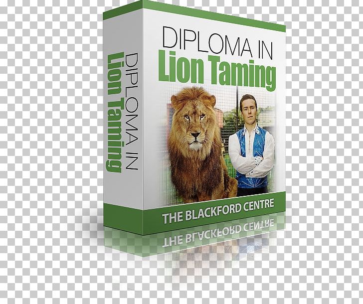 Brand Advertising PNG, Clipart, Advertising, Brand, Cat Like Mammal, Lion Free PNG Download