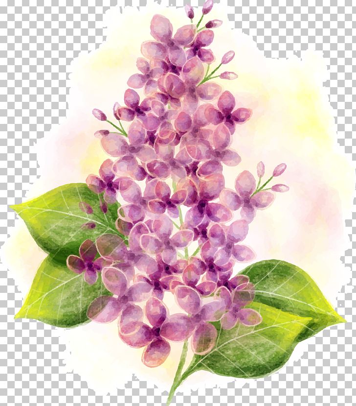 Lilac Watercolor Painting Flower PNG, Clipart, Branch, Color, Cut Flowers, Download, Floral Design Free PNG Download