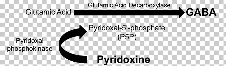 Pyridoxine Gamma-Aminobutyric Acid Pyridoxal Phosphate Vitamin B-6 PNG, Clipart, Angle, Black, Face, Logo, Material Free PNG Download