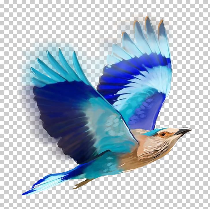 Bird Editing PicsArt Photo Studio PNG, Clipart, Animals, Beak, Bird, Bluebird, Desktop Wallpaper Free PNG Download