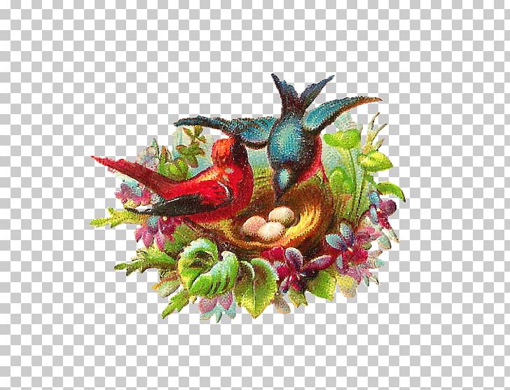 Bird Nest Lovebird PNG, Clipart, Animals, Art, Bird, Birdcage, Bird Nest Free PNG Download