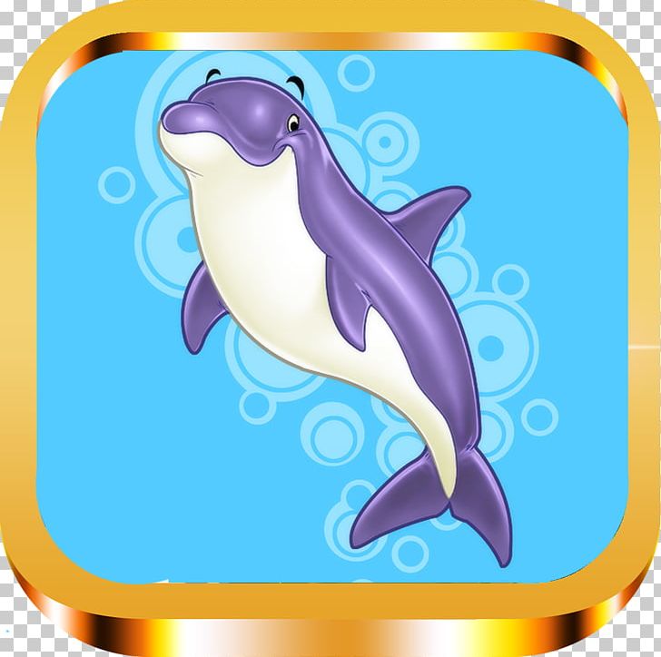 Common Bottlenose Dolphin Tucuxi Penguin PNG, Clipart, Animals, Animation, Beak, Biology, Bottlenose Dolphin Free PNG Download