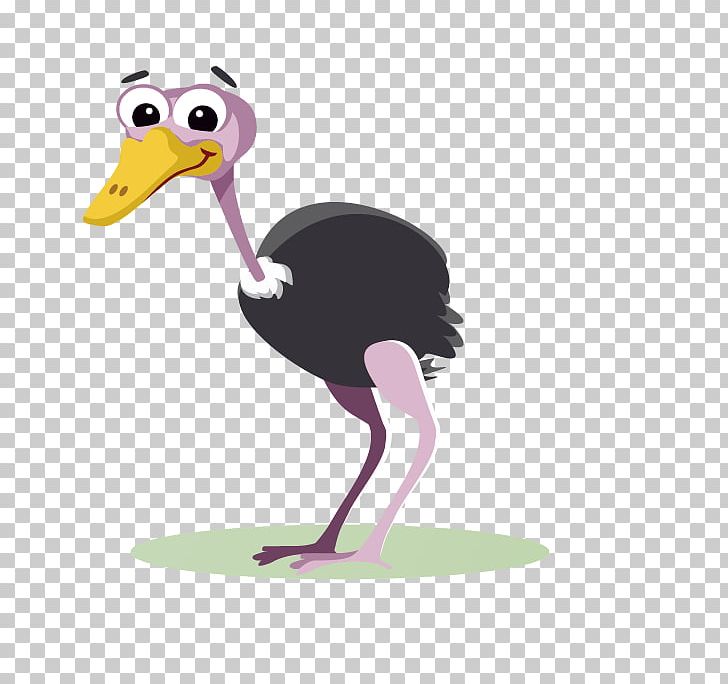 Common Ostrich Cartoon PNG, Clipart, Animal, Animals, Beak, Bird, Cartoon Free PNG Download