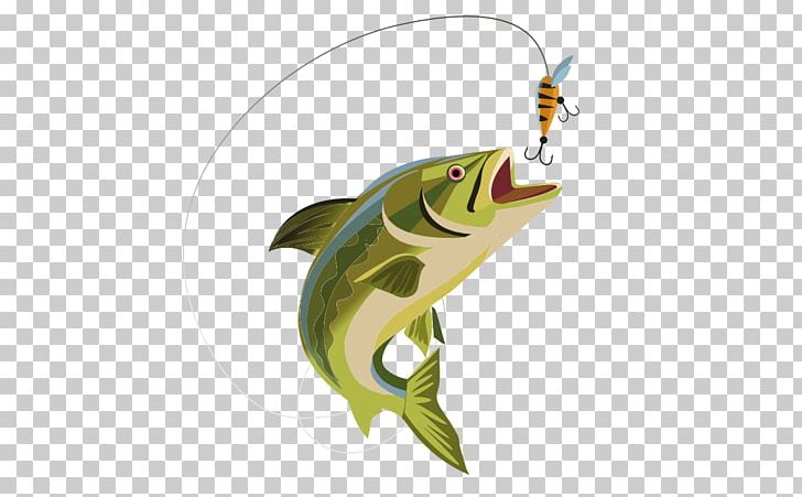 Fly Fishing Angling PNG, Clipart, Angling, Bass Fishing, Clip Art, Fin, Fish Free PNG Download