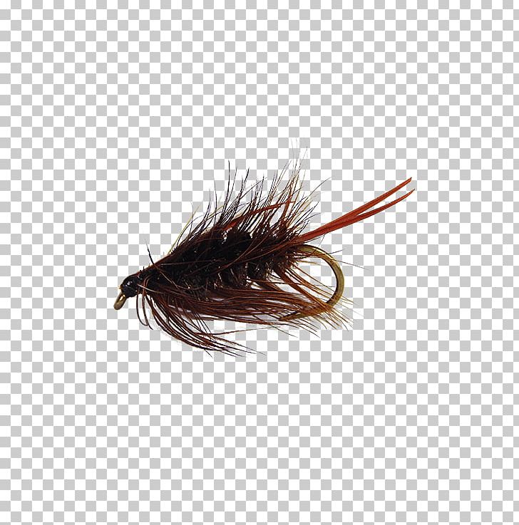 Insect Artificial Fly If(we) Backscratcher Tagged PNG, Clipart, Animals, Artificial Fly, Back, Backscratcher, Fishing Bait Free PNG Download