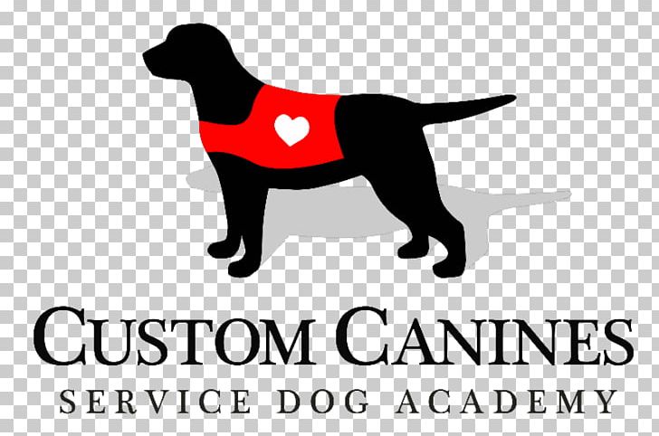Labrador Retriever Puppy Dog Breed Golden Retriever Custom Canines Service Dog Academy PNG, Clipart, Animal, Animals, Brand, Breed, Carnivoran Free PNG Download