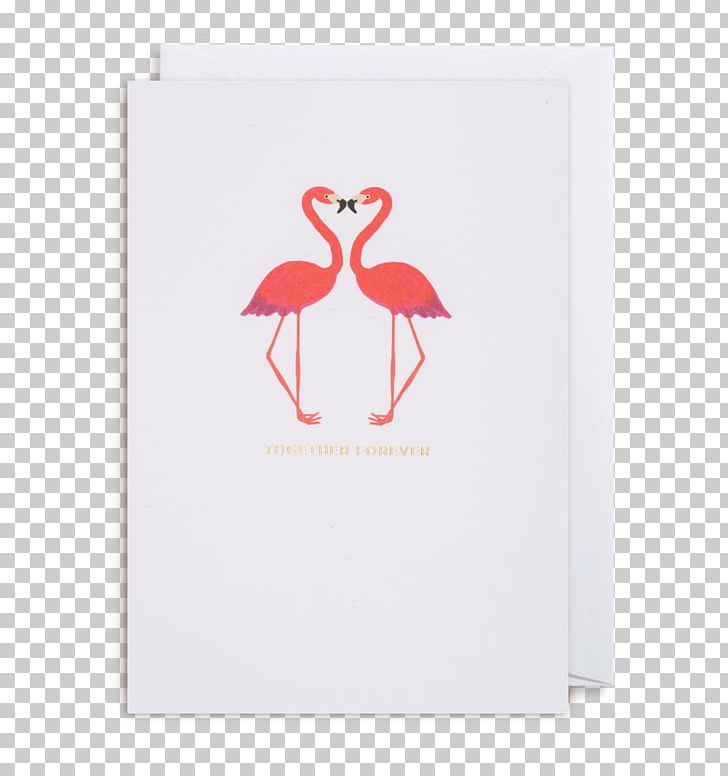 Vertebrate Water Bird Beak Flamingo PNG, Clipart, Animal, Animals, Beak, Bird, Card Free PNG Download