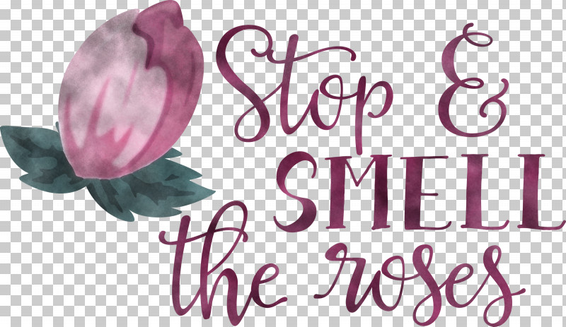 Rose Stop And Smell The Roses PNG, Clipart, Cut Flowers, Flower, Meter, Petal, Rose Free PNG Download