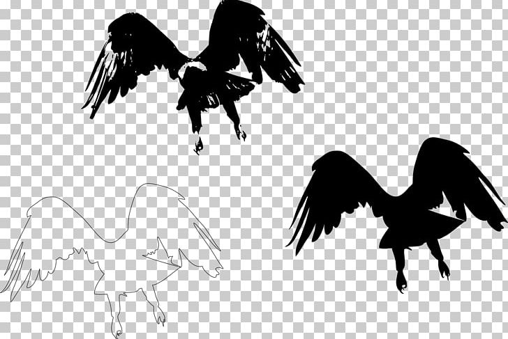 Silhouette Bird Wing Feather PNG, Clipart, Animals, Beak, Bird, Bird Of Prey, Black Free PNG Download