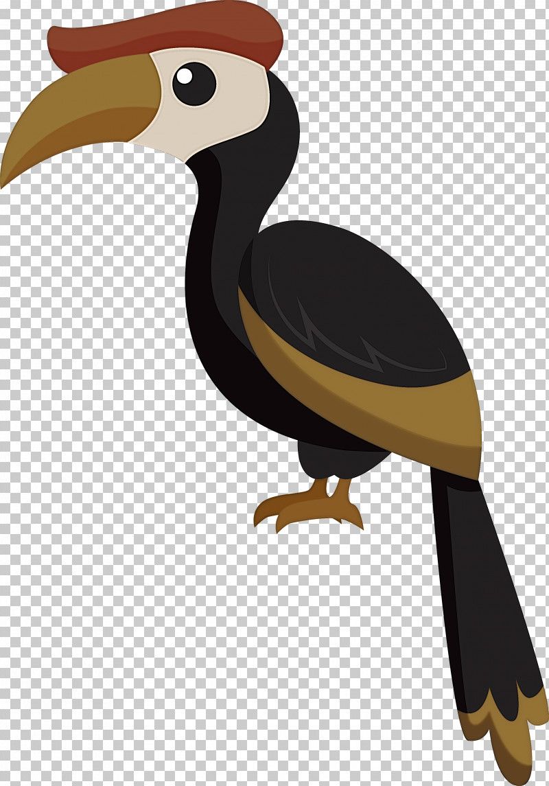 Hornbill Toucans Birds House Sparrow Piciformes PNG, Clipart, Beak, Bird, Bird Of Prey, Birds, Cartoon Bird Free PNG Download