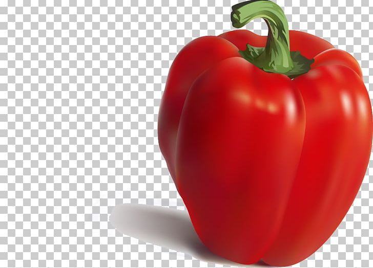 Bell Pepper Cayenne Pepper Nutrient Chili Pepper Paprika PNG, Clipart, Cartoon, Fruit, Material, Natural Foods, Nightshade Family Free PNG Download