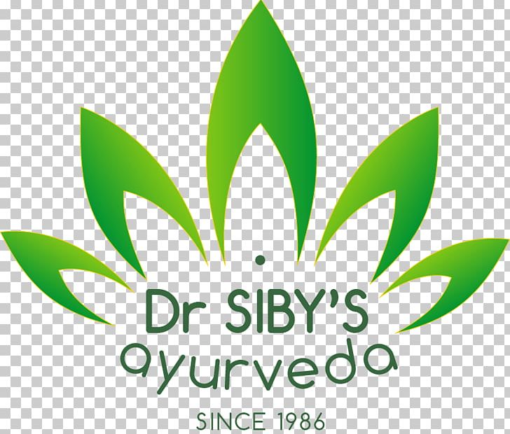 Dharamshala Panchakarma Ayurveda Therapy Bhagsunag Road PNG, Clipart, Ayurveda, Brand, Center, Dharamshala, Green Free PNG Download