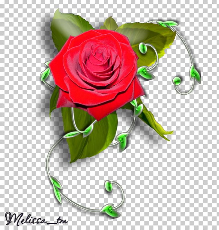Garden Roses Floral Design Cut Flowers PNG, Clipart, Artificial Flower, Cut Flowers, Drawing, Floral Design, Floristry Free PNG Download