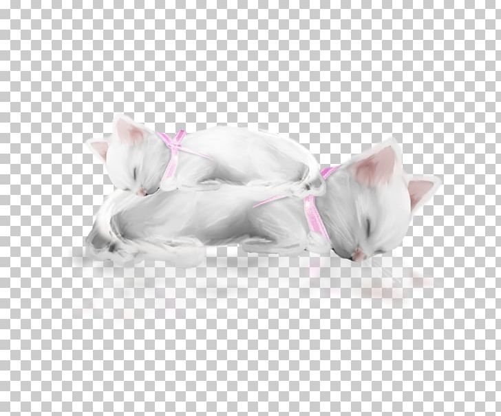 Kitten Whiskers Cat Paw PNG, Clipart, Animals, Carnivoran, Cat, Cat Like Mammal, Chaton Free PNG Download