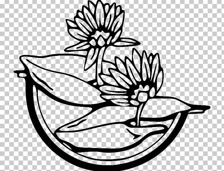 Water Lilies Egyptian Lotus PNG, Clipart, Art, Artwork, Black And White, Cut Flowers, Download Free PNG Download