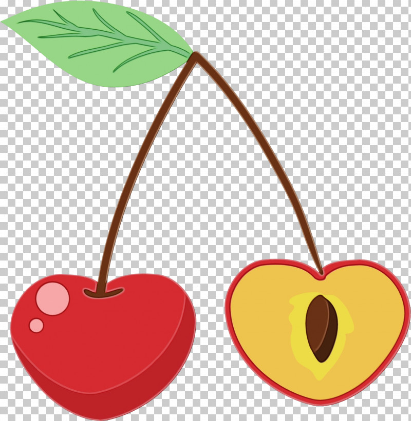 Heart Cherry Plant Leaf Tree PNG, Clipart, Cherry, Drupe, Flower, Fruit, Heart Free PNG Download