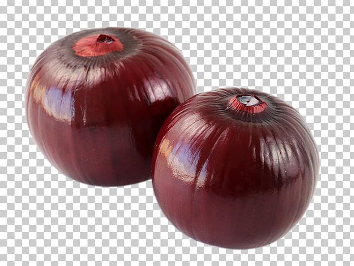 Red Onion Shallot Allium Fistulosum PNG, Clipart, Allium Fistulosum, Delicious, Easy, Easy Storage, Encapsulated Postscript Free PNG Download