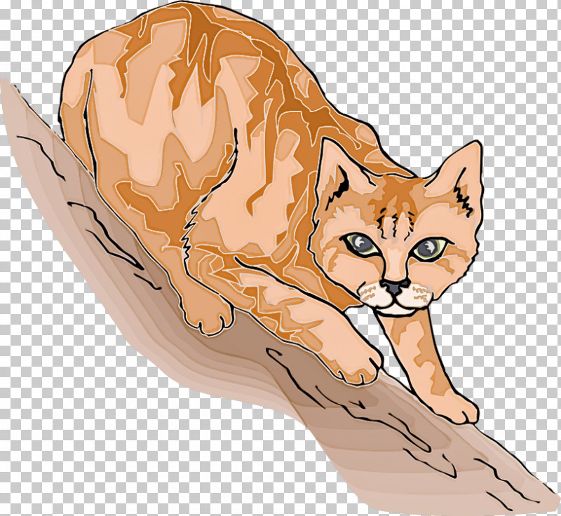 Fennec Fox Cat Small To Medium-sized Cats Wildlife Red Fox PNG, Clipart, Cat, Fennec Fox, Red Fox, Small To Mediumsized Cats, Swift Fox Free PNG Download