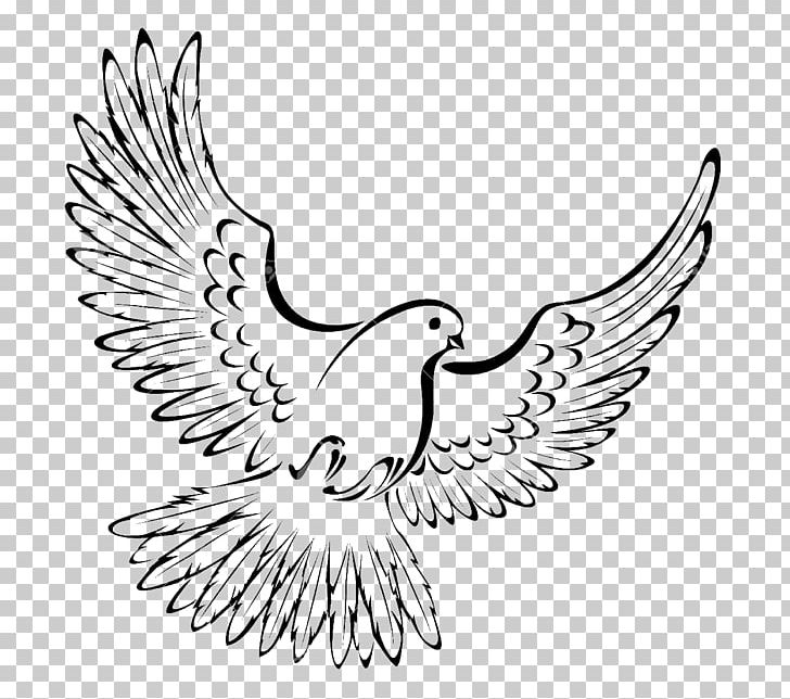 Bird Pigeons And Doves Graphics Drawing PNG, Clipart, Animals, Animal Tattoo, Area, Artwork, Beak Free PNG Download