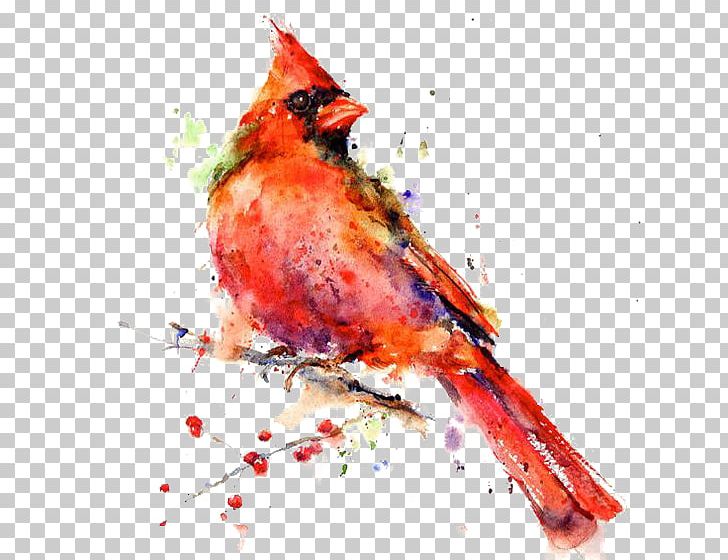 Bird Watercolor Painting Drawing Canvas Print PNG, Clipart, Animal, Animals, Art, Artist, Art Museum Free PNG Download