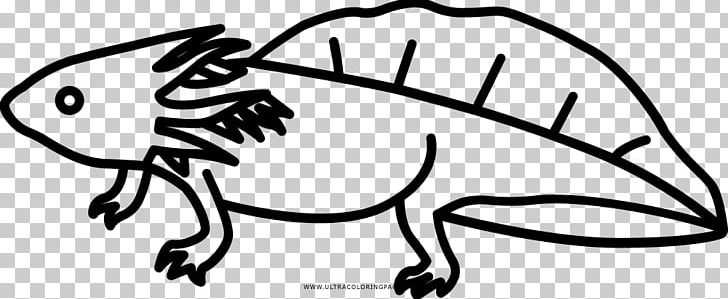 Black And White Drawing Axolotl Coloring Book PNG, Clipart, Animal, Area, Art, Artwork, Axolotl Free PNG Download